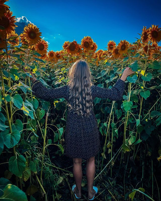 oh_kse_ni_ya в LOOKY. . 🌻🌻🌻♥️