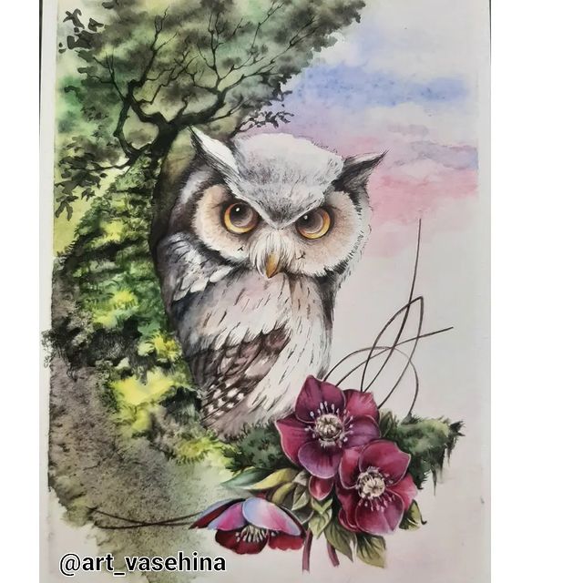 art_vasehina в LOOKY. #сова,#акварельнапродажу,#акварель,#акварельнаяоткрытка,#акварельнаяиллюстрация,#милаяиллюстрацияназаказ,#милаяиллюстрация. #сова #акварельнапро...