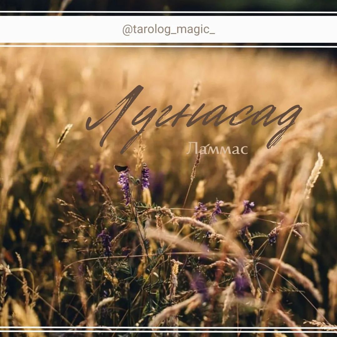 tarolog_magic_ в LOOKY — Радостный Ламмас: Встречаем праздник обильного урожая!

Друз