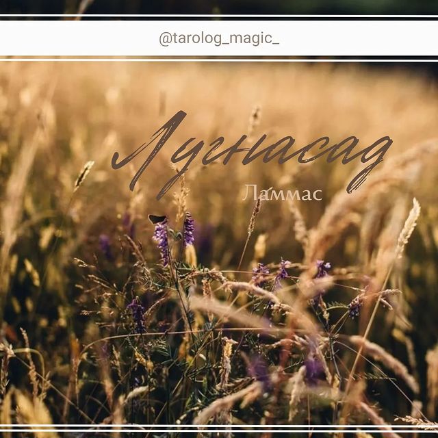 tarolog_magic_ в LOOKY. . Радостный Ламмас: Вс...