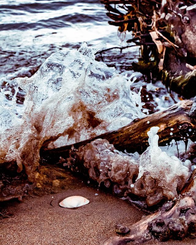 kovr_photo_ в LOOKY. . null