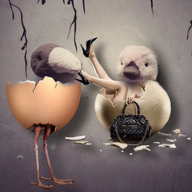 belo4ka.sveta в LOOKY. #belo4ka_творит,#птичка,#Тедди,#teddy,#teddybird. Клевая фотка получил...