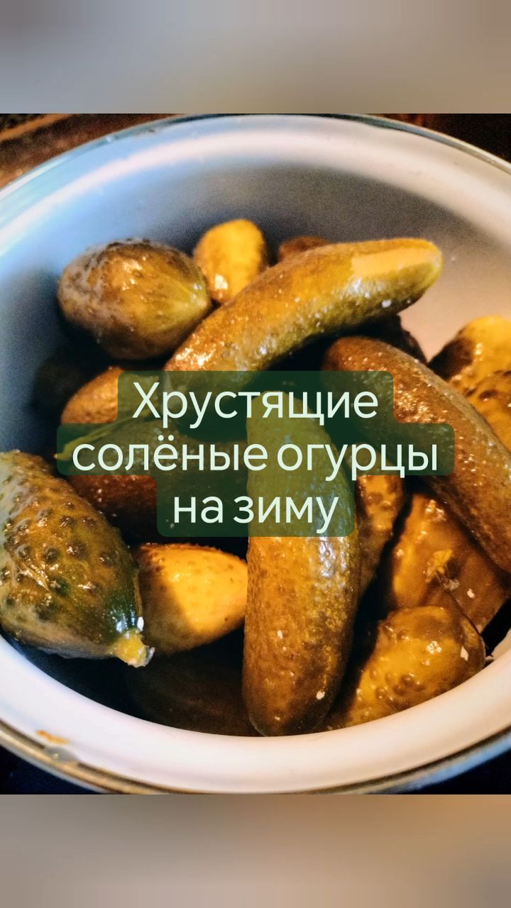 missisvaflia в LOOKY. #огурцы,#солимогурцы,#бочковые,#едимдома,#консервация,#консервируем,#запасыназиму,#запас,#запасы,#огурчики,#хрустящиеогурчики,#вкусно,#быстро,#назиму,#закуска,#соленыеогурцы,#соленыеогурчики,#наужин. 📌ХРУСТЯЩИЕ СОЛЁНЫЕ ...