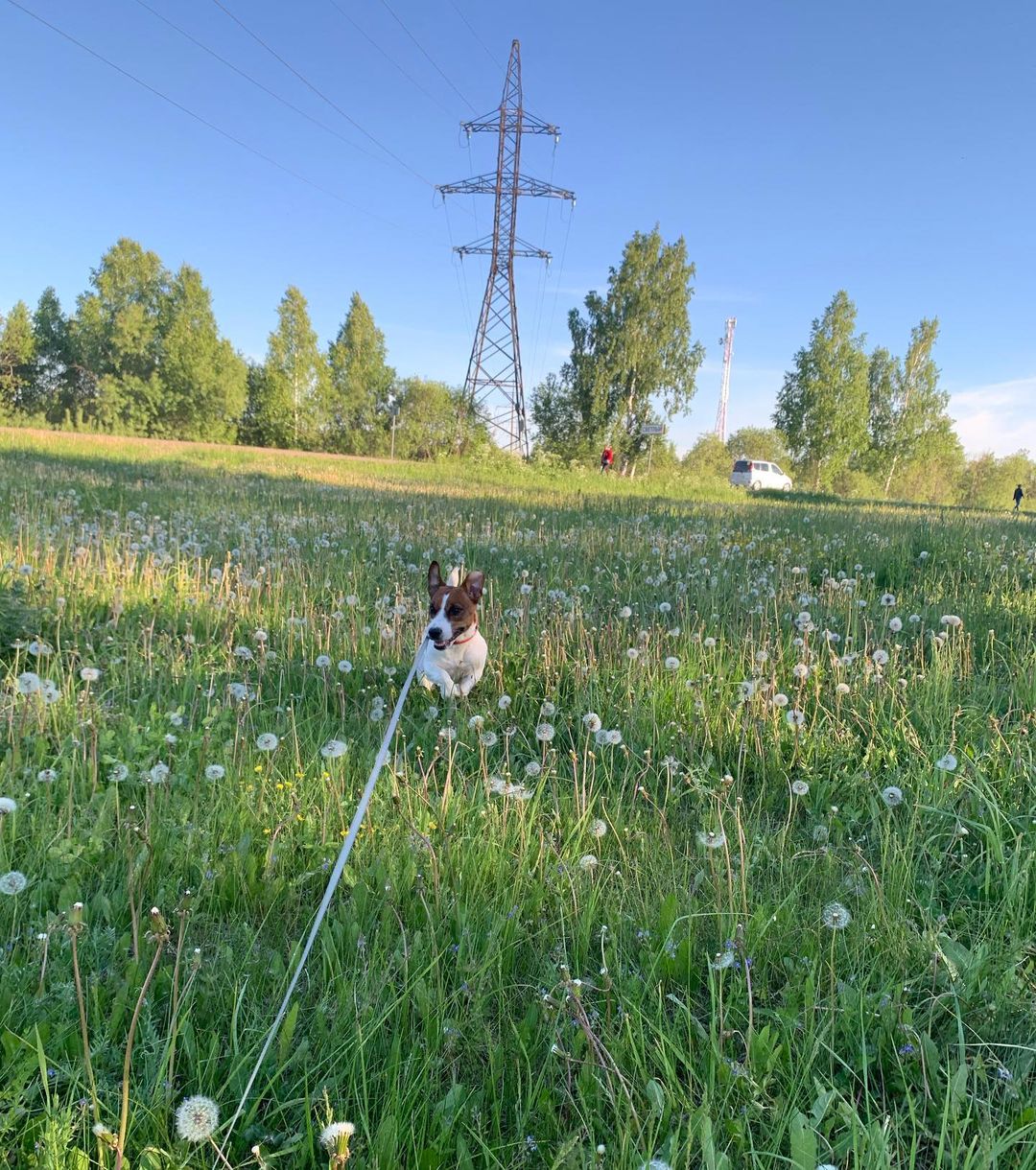 Булочка🧡