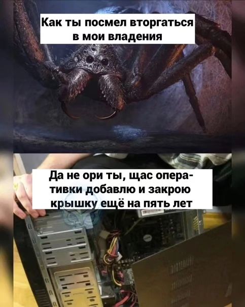 dark_bers13 в LOOKY. #ниднябезприключений,#всякоразноинтересно,#нашевамскисточкой,#трудовыеподвиги,#трудовыебудни,#аналитикадетектед,#компынашевсе,#всеповзрослому,#наширукинедляскуки. Принесено интернетам...