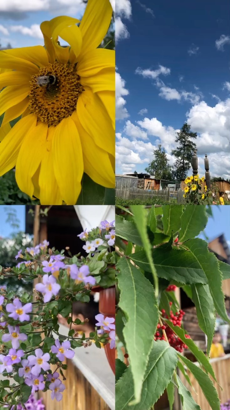instalytkina в LOOKY. . 🌻