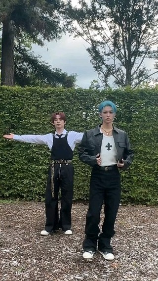 ya.love.kpop в LOOKY. #leeknow,#skz,#kpop,#stay,#idolchallenge. idol challenge lee k...