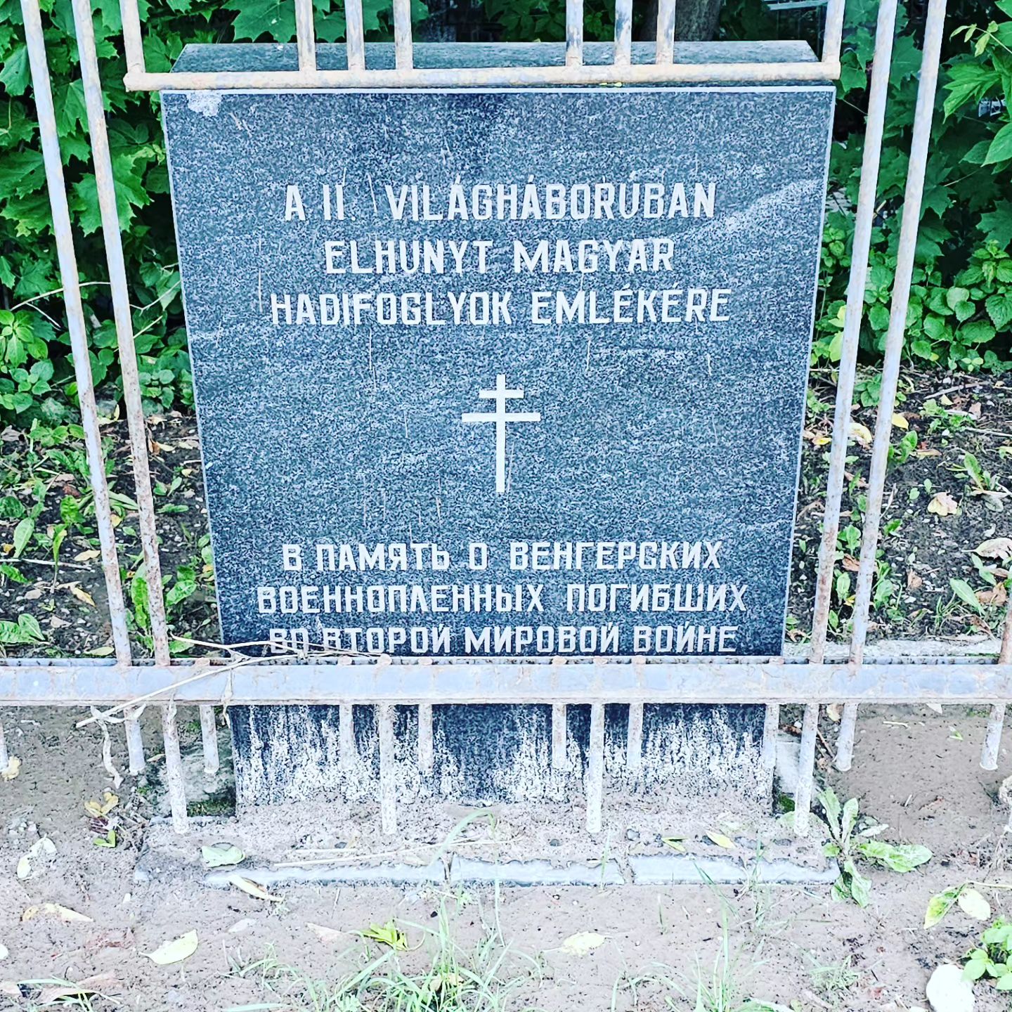 ingman_in в LOOKY. #лимонов,#европаспит. "Европа спит, и чмок...