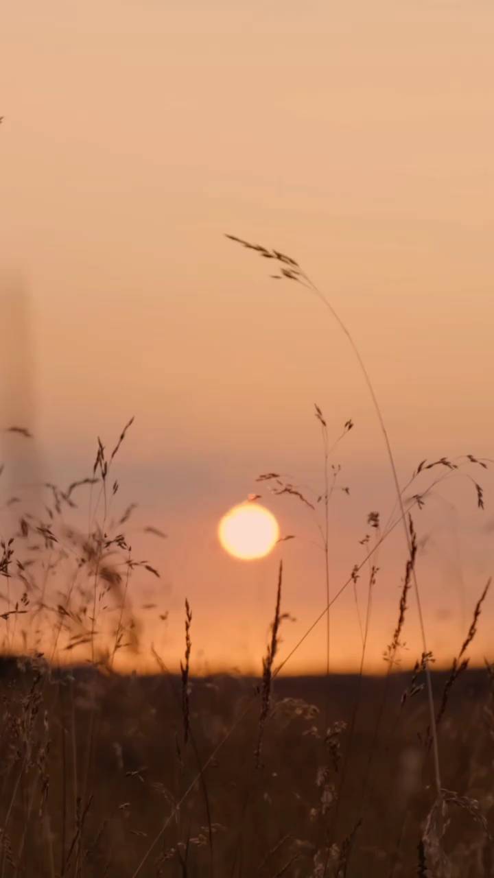 _sunsetify_ in LOOKY. #InstaReels,#ReelLife,#ExploreReels,#TrendingReels,#ViralReels,#Entertainment,#FunnyVideos,#Creativity,#Inspiration,#DanceReels,#TravelReels,#FoodReels,#FashionReels,#fitnessreels. Follow us for more ❤...