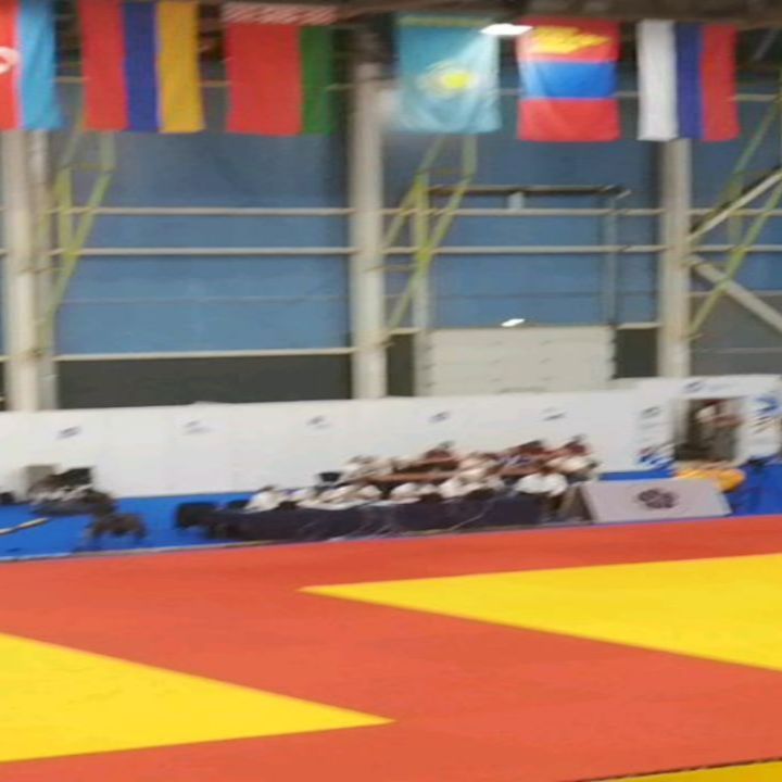 zhenya_korolkov в LOOKY. . Дзюдо второе игры ст...