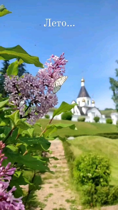 chirkov.photo в LOOKY. . Небольшой летний рил...