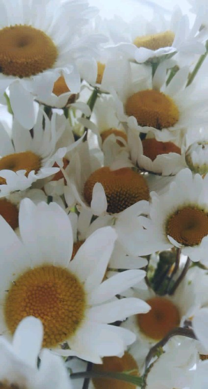 _19nika98_ в LOOKY. . null