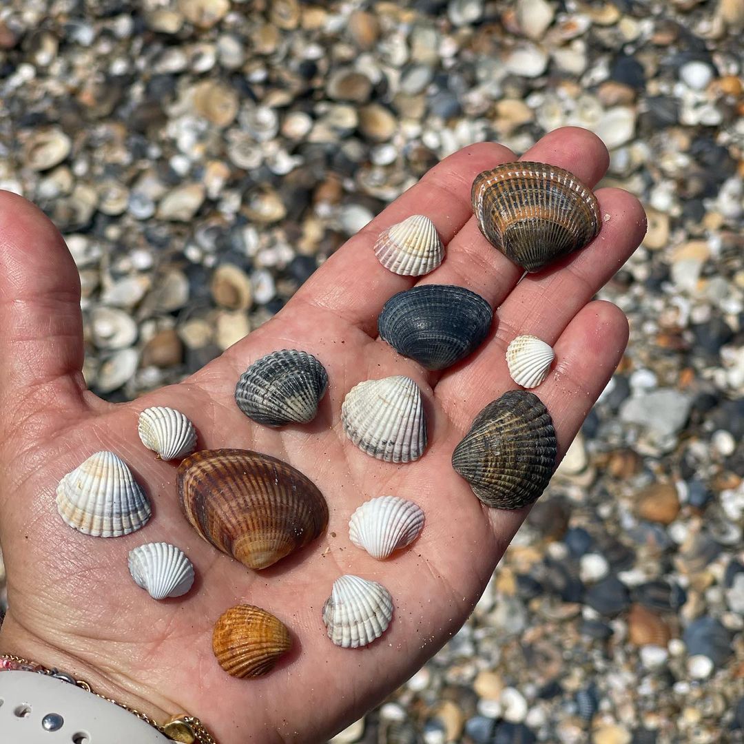 axxsana в LOOKY — 🐚 одна хорошо, а много лучше. В моем детстве это была валют