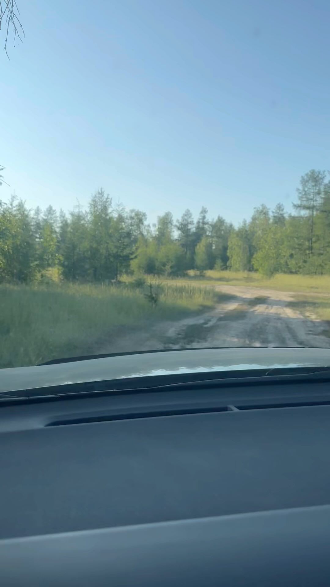 mrs_anempodistova в LOOKY. . Вот и исполнилось мо...