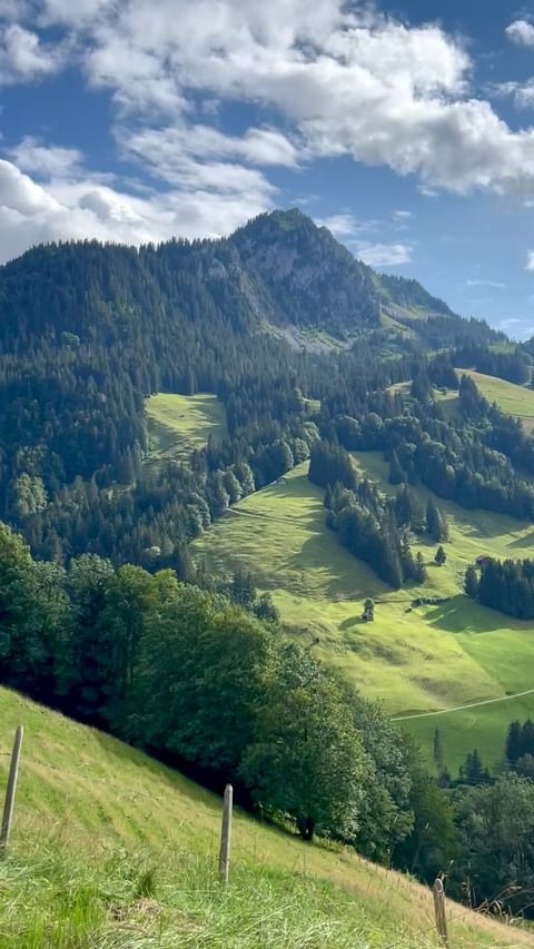 julia_lisina в LOOKY. . Perfect. Green. Calm...