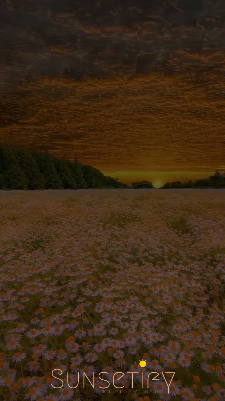 _sunsetify_ in LOOKY. #sunsetsaremagic,#sunsetvibes,#sunsetcolors,#goldenhour,#naturelovers,#skylovers,#sunsetgram,#sunsetbeauty,#sunsetshots,#sunsetcaptures,#beautifulsunset,#sunsetparadise,#sunsetsofinstagram,#sunsetskies,#naturephotography,#instasunset,#sunsetloversgram,#sunsetheaven,#sunsetview,#sunsetlovergram,#sunsetmagic,#sunsetinspiration,#sunsetgoals,#sunsetaddict,#sunsetwatch,#skyphotography,#sunsetloversunite,#sunsethunters,#sunsetspecial. Rule No.2 
#sunsetlo...