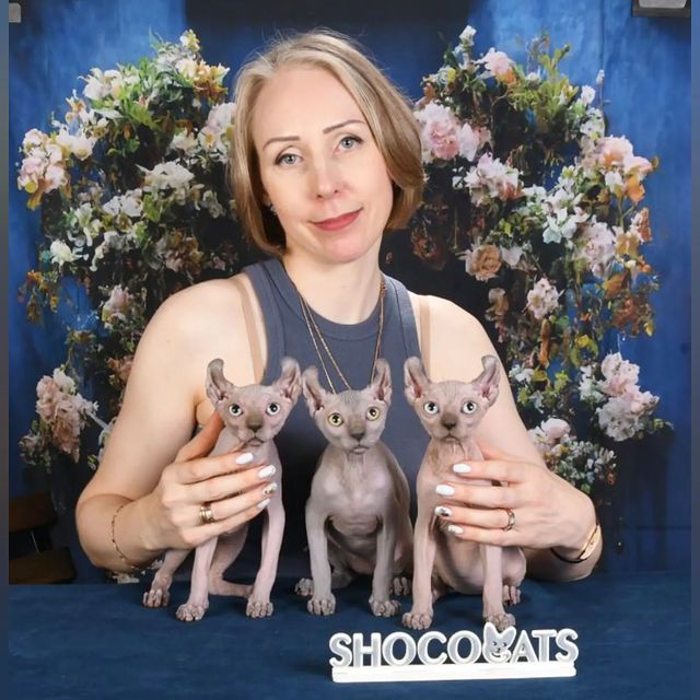 cats_calling в LOOKY. . Поздравляю всех с Дн...