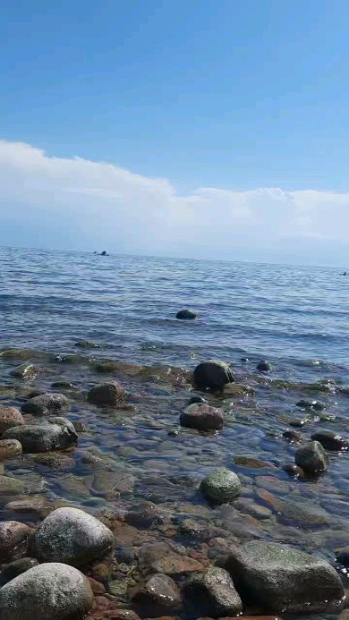 asizbekovaa.s в LOOKY. . null