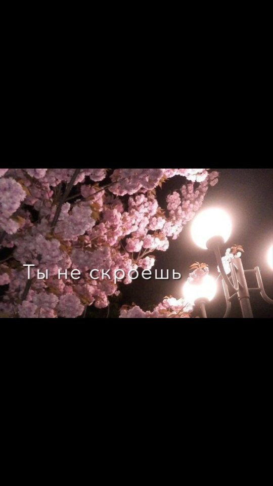 aminat_33 в LOOKY. . null