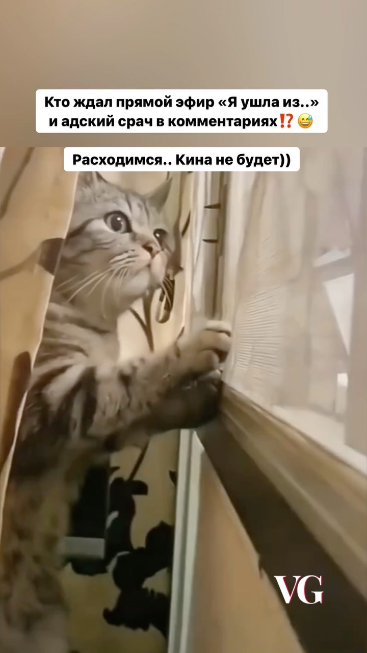 vera.guryachkova.ai в LOOKY. . 🔴 Я ушла из..

Разо...