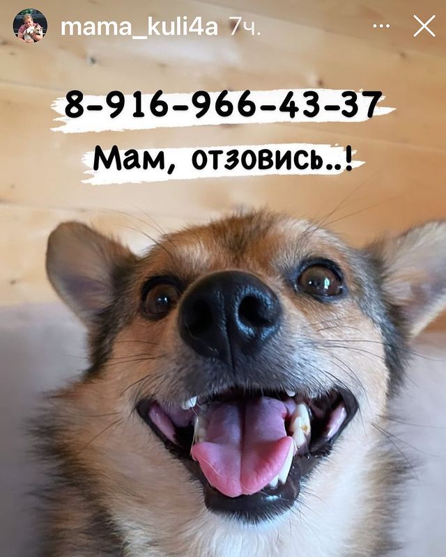 martyns_family в LOOKY. . Очаровательный малыш...