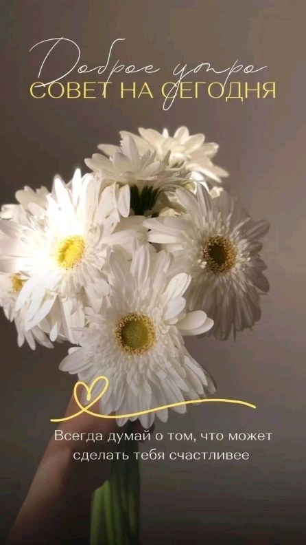 leda_shop_ в LOOKY. . null