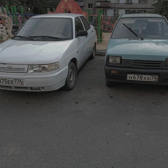 fureon4 в LOOKY. . Сыч 22 летний,  по и...