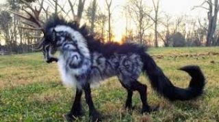 INSIDE-WILDLIFES в LOOKY. . null