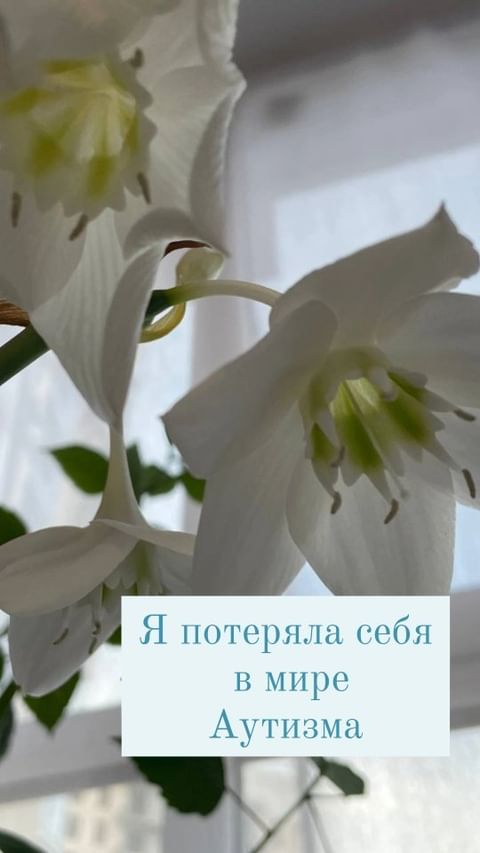 psveta_mamasita в LOOKY. . Я обращаюсь к вам с ...