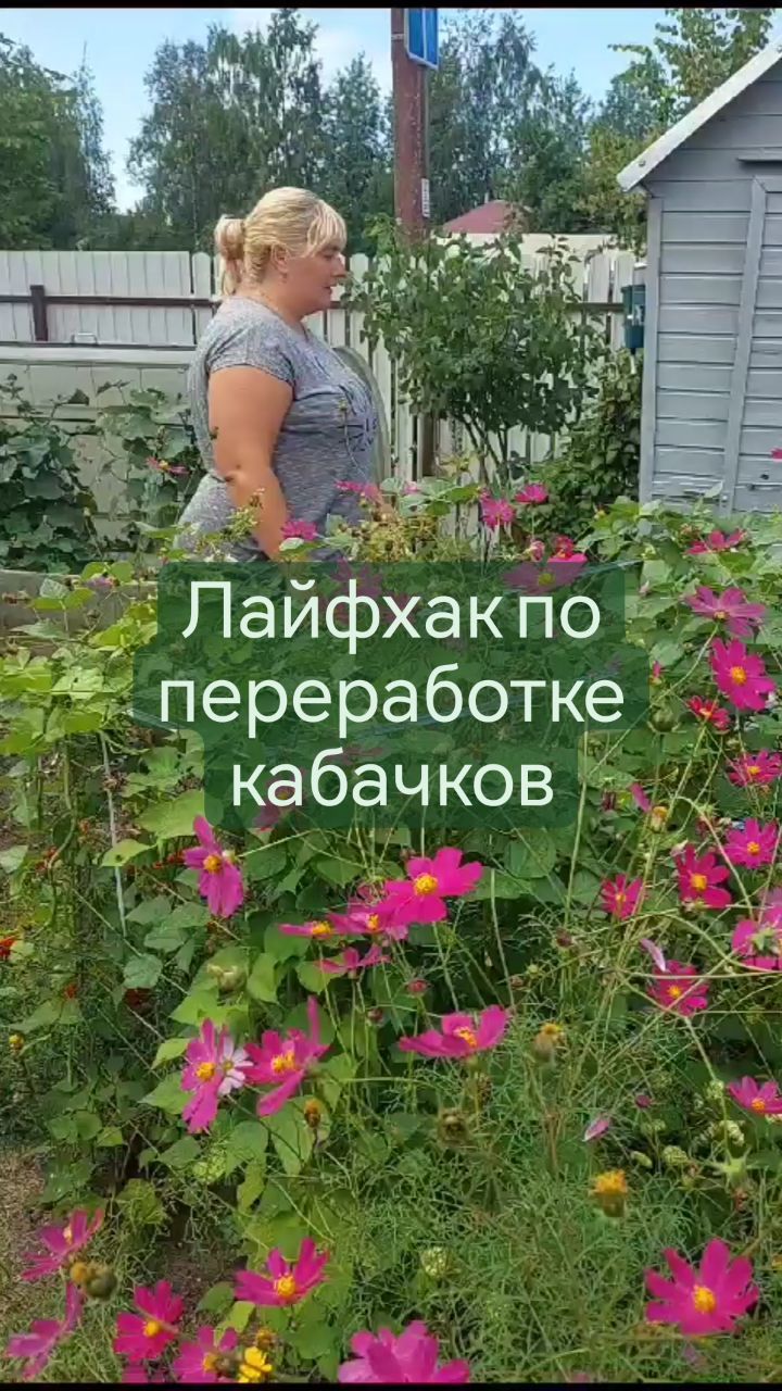missisvaflia в LOOKY. #кабачок,#ешькабачки,#изкабачков,#огород,#огородники,#надаче,#дача,#вогороде,#юмор,#чтоделатькаскабачками,#многокабачков,#ленинградская_область,#ленинградскаяобласть,#поркузи. 📌КАК ИЗБАВИТСЯ ОТ Л...