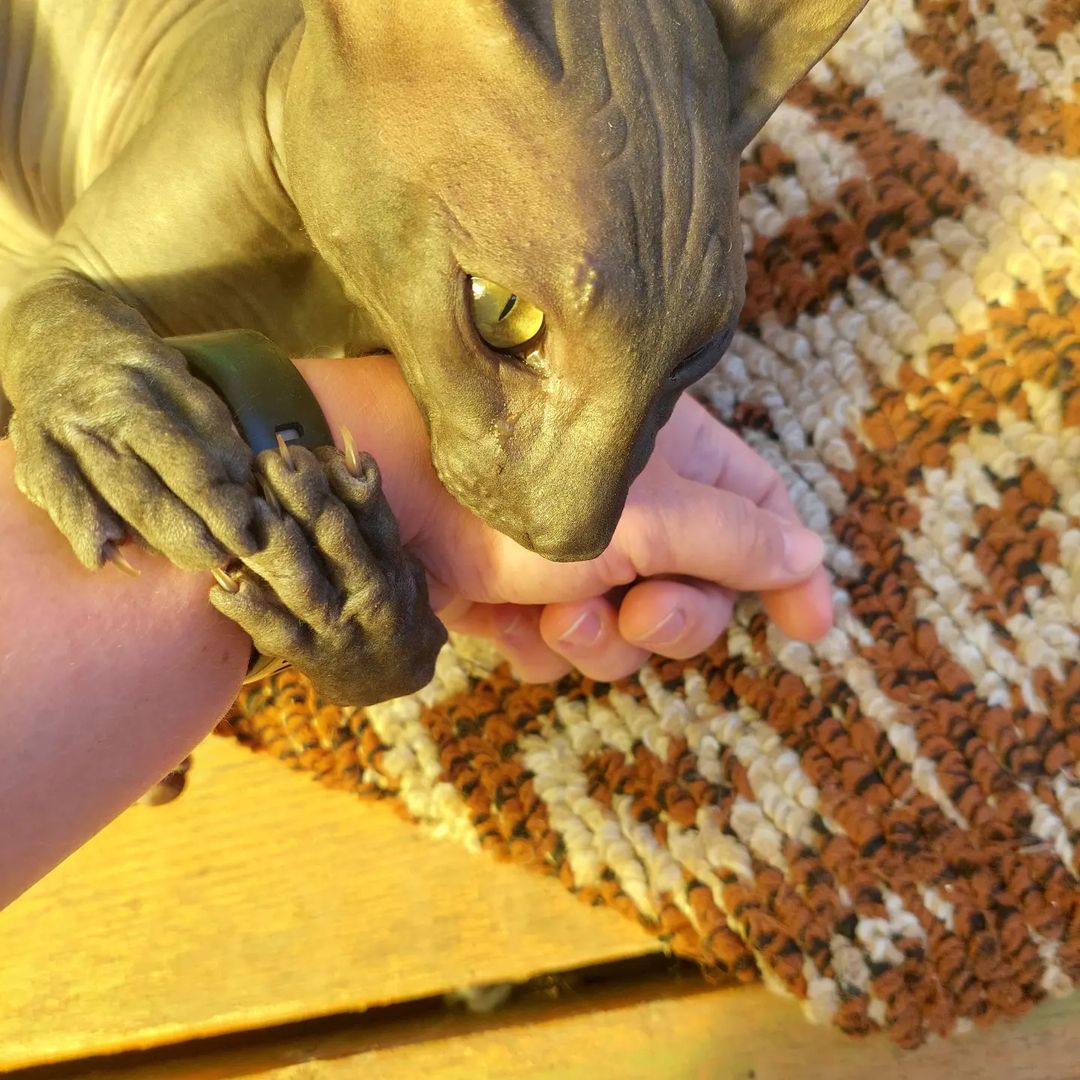 Кусь😻