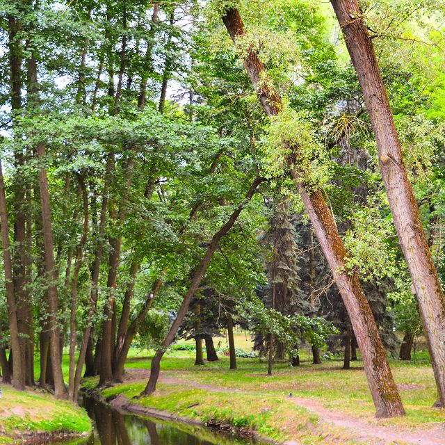 aliseasavva в LOOKY. #Беларусь,#Минск,#путешествия,#beautiful,#beauty,#memories,#day,#goodtimes,#travel. И ещё немного фоток ...