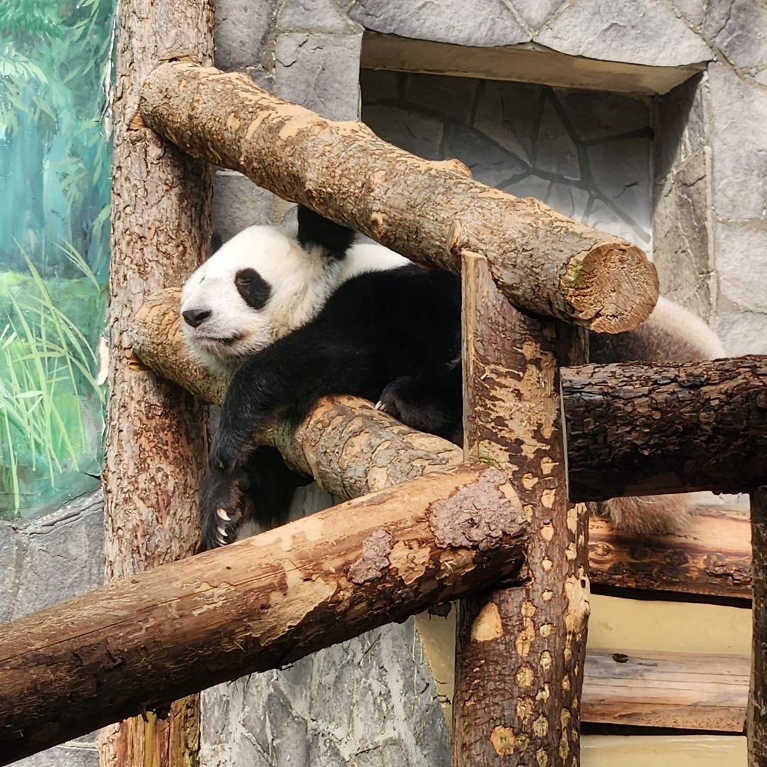 #zoo #animal