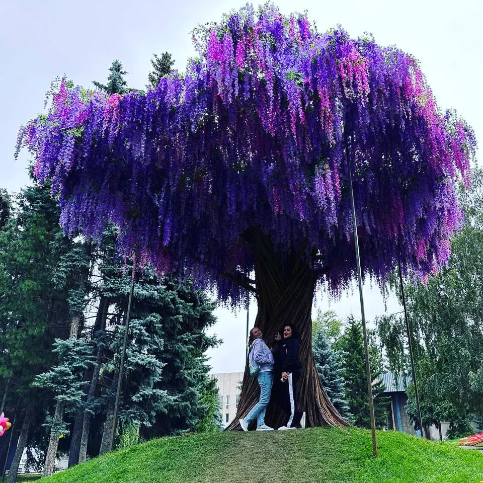 danilovaka84 в LOOKY — #флораомск2023💐🌸💮🏵️🌹🥀🥀🌺🌻🌼🌷