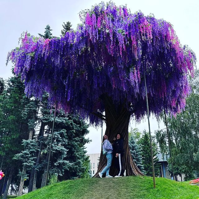 danilovaka84 в LOOKY. #флораомск2023💐🌸💮🏵️🌹🥀🥀🌺🌻🌼🌷. #флораомск2023💐🌸💮...