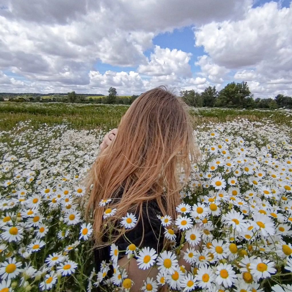 __________na_stya__________ в LOOKY. #лето,#2023,#ромашки,#🌼🌼🌼,#взаимныелайки,#🌼🌼🌼🌼🌼🌼🌼🌼🌼🌼🌼🌼. 🌼🌼🌼
.
.
.
.
.
.
....