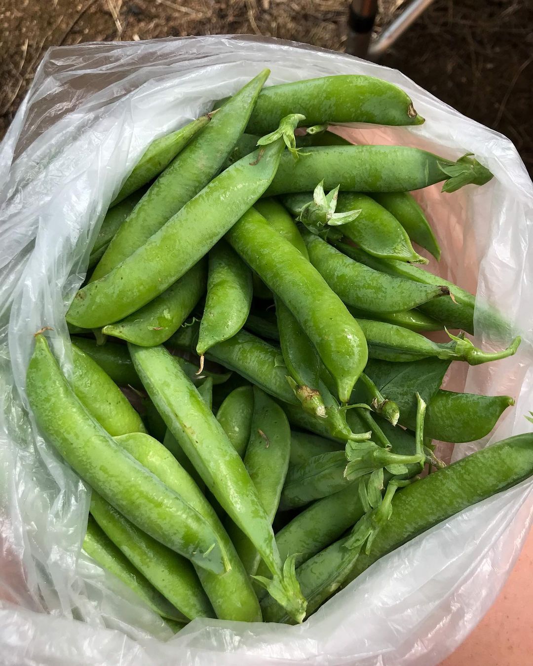 _zoika_zaika_ в LOOKY — фото 6