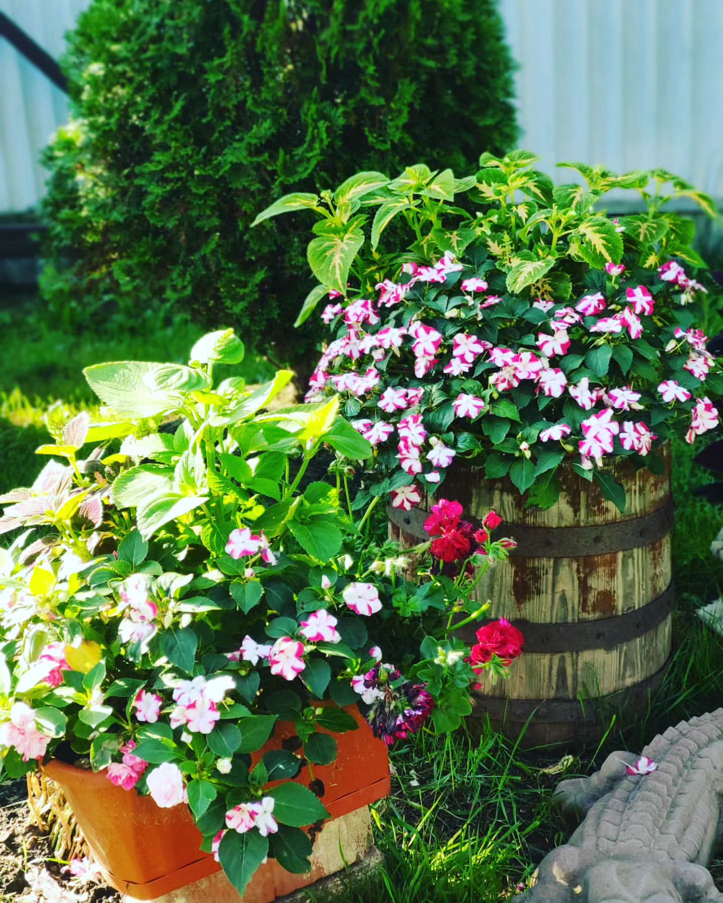 olga_vesna6708 в LOOKY. . null