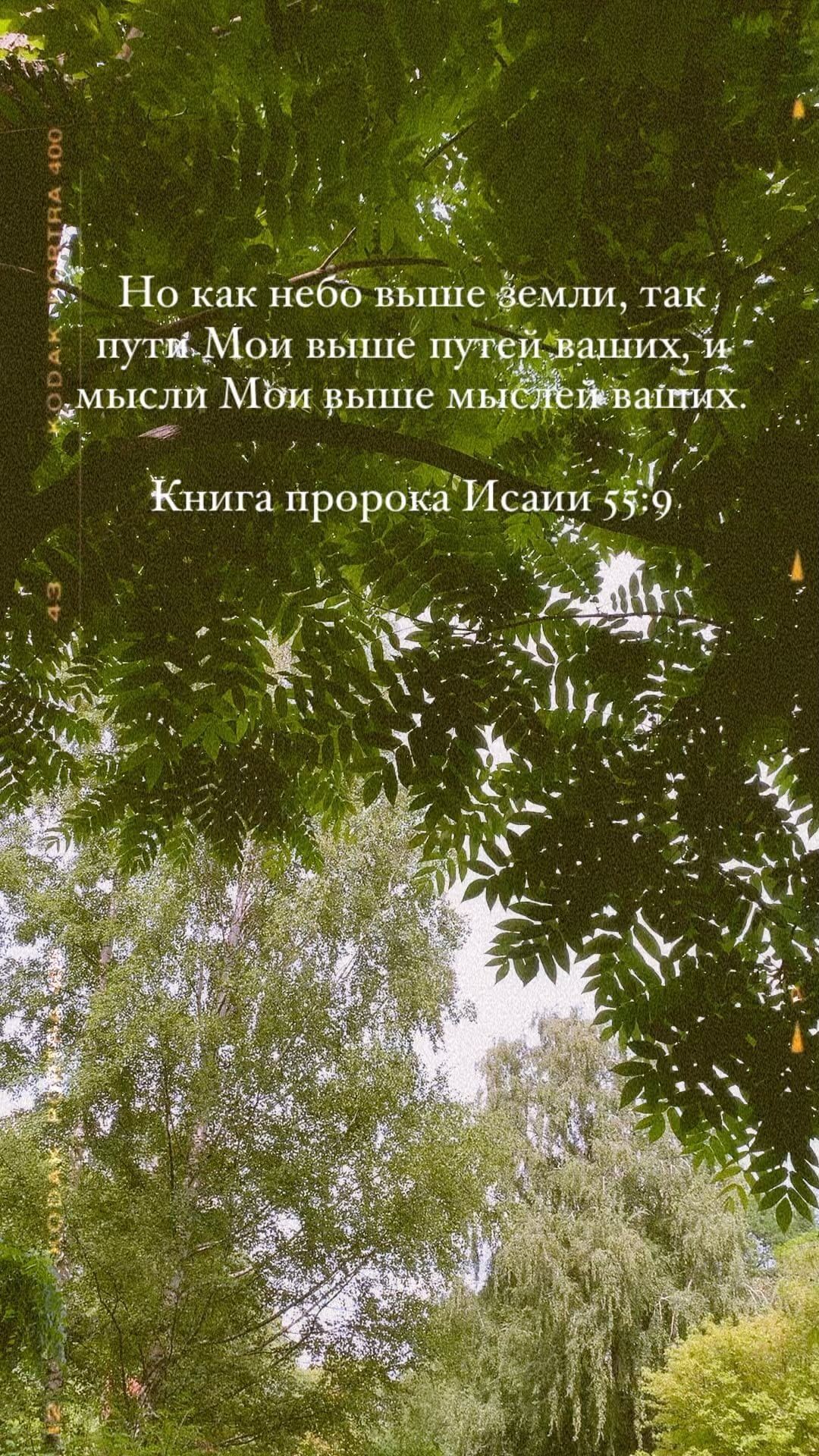 tchg_thatchristiangirl в LOOKY. #библия,#христианство,#православие,#исайя. #библия #христианств...
