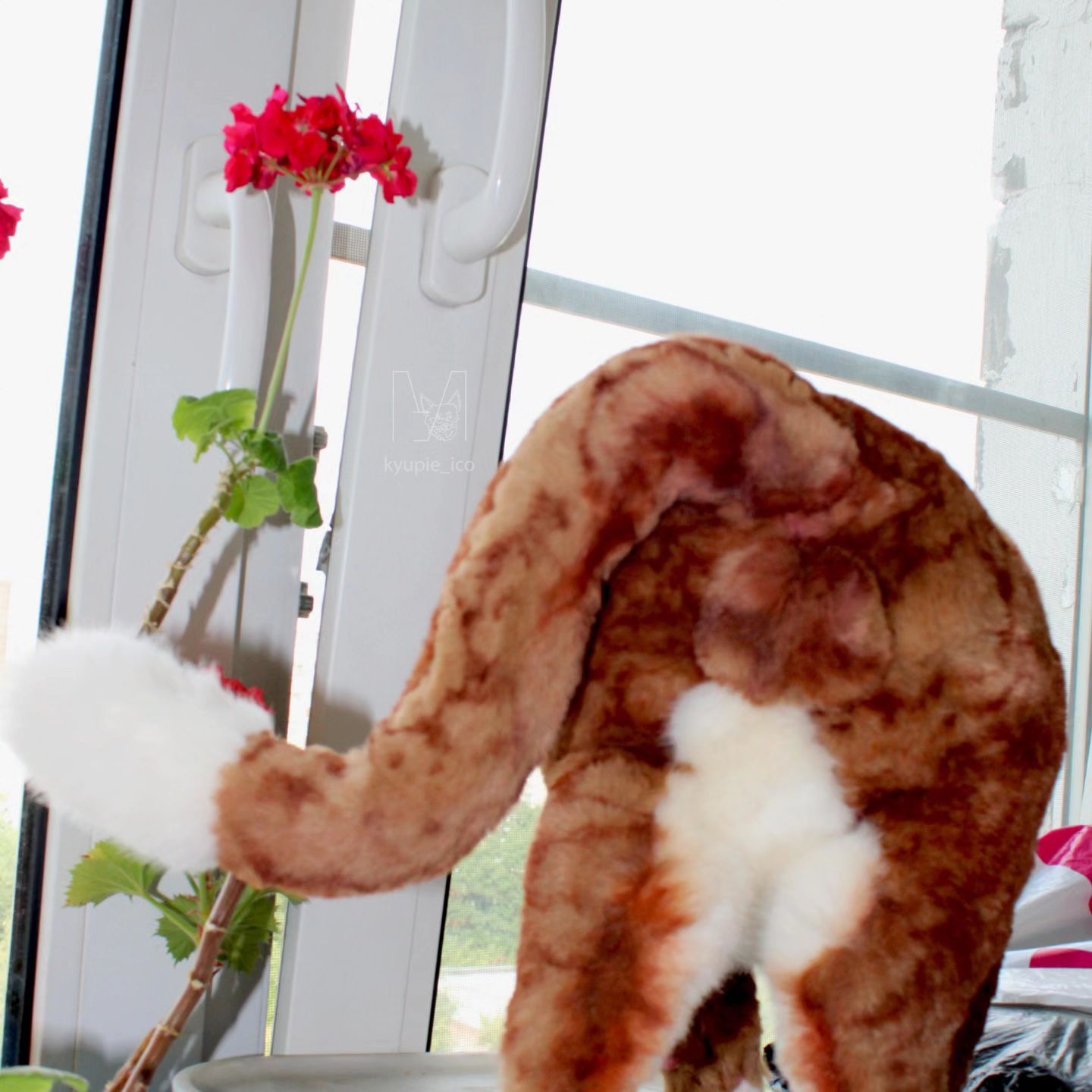 kyupie_ico__ в LOOKY — фото 8
