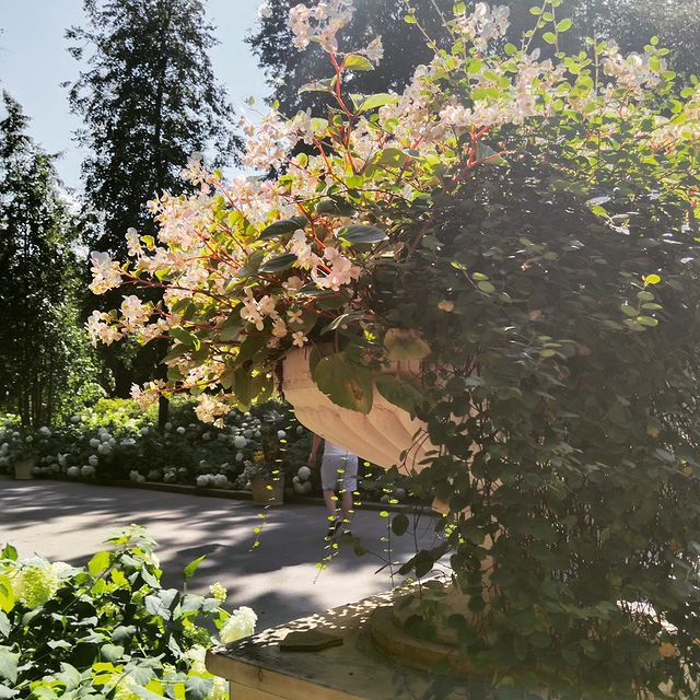rikitikkitavvi в LOOKY. . Яркие краски лета 🌼