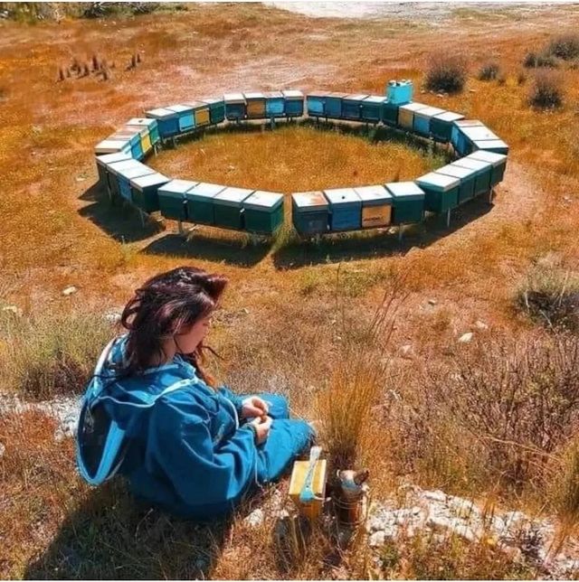 lina_medovaya_69 в LOOKY. . 🐝Уважаемые пчеловод...