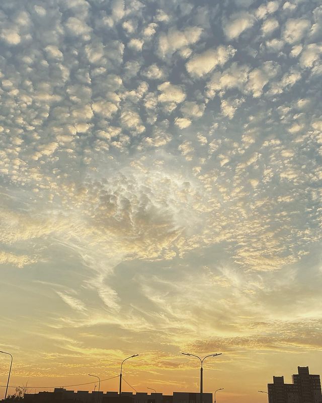 alexandr_omega в LOOKY. . Скоро кончится лето....