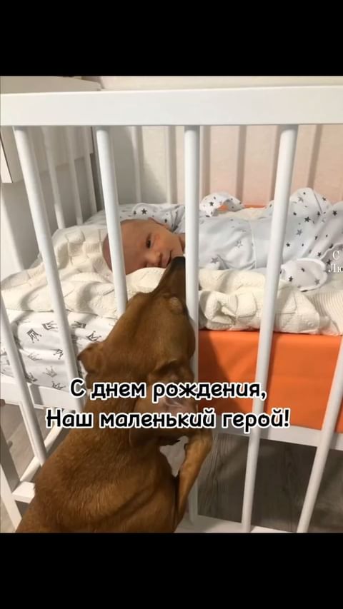 psveta_mamasita в LOOKY. . Илюшенька!

Ты – наш...