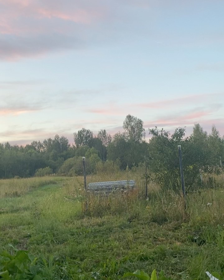 zaytseva__na в LOOKY. #всевдеревню,#курортдушимоей,#подмышье,#дедовичи,#псковщина. Коротко о том, зачем...