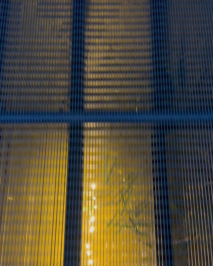 venema77 в LOOKY — фото 5