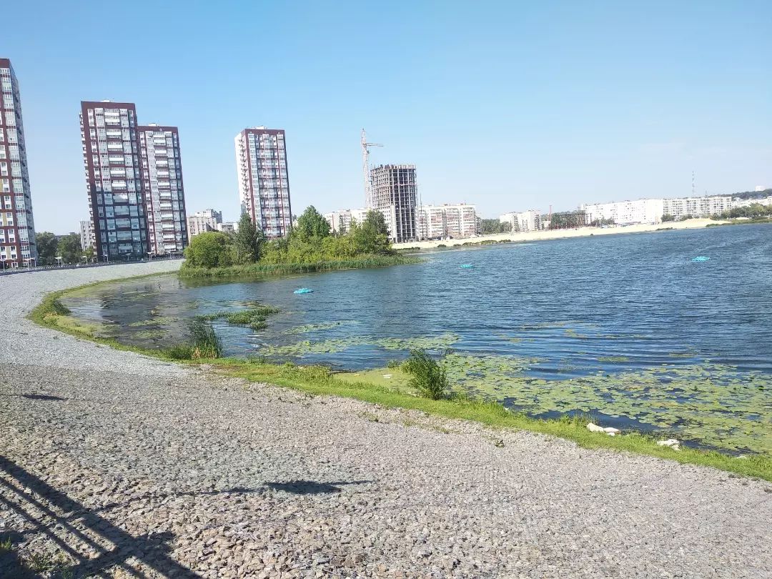 marina73.rus в LOOKY. #утки,#речка,#кувшинки,#ульяновск,#прогулка,#магазин,#аквамолл,#берег. Утки у Аквамолла 
#у...