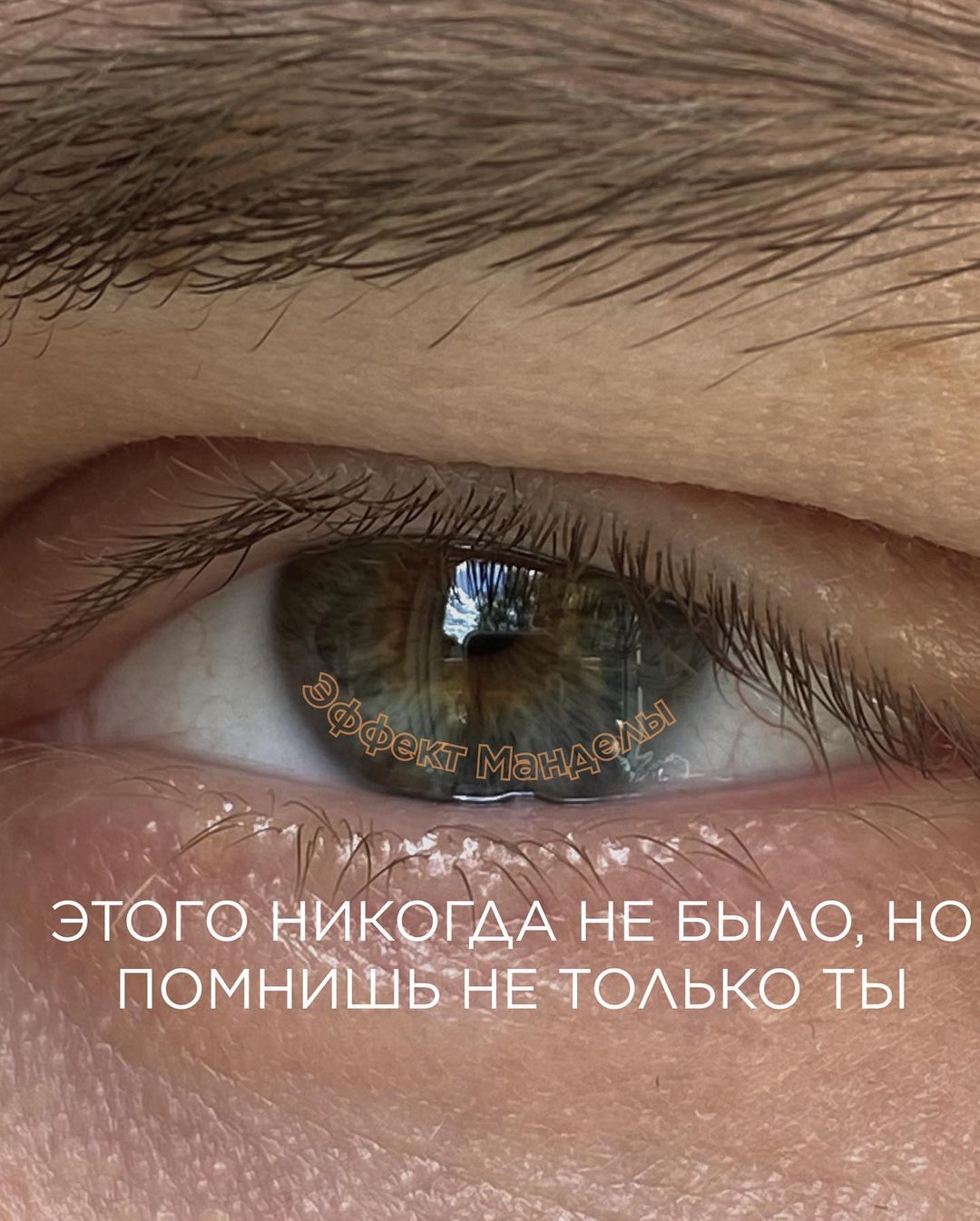 👁️Эффект Манделы в дизайне: кто-то использует?

Эффект Манделы (ложных воспоминаний) заключается в том, что люди "помнят" события или образы, которых на самом деле никогда не было. 

Но как же этот эффект можно применять в дизайне?

📽️Для продвижения фильма запустили рекламу с дизайном бананового молочного коктейля, который якобы продавался в 1950-х. Люди массово "вспоминали" этот напиток. Они были уверены, что помнят этот коктейль из детства.

Проникшись ностальгией и будучи уверенными в его качестве — скупали. Успешный маркетинговый ход!

Эффект ложной памяти можно применять, чтобы "оживлять" бренды и продукты. Главное — делать это творчески и этично.

🤨Но почему так? существует одна из теорий, что эффект Манделы связан с существованием параллельных вселенных. 

В них есть небольшие отличия от нашего мира. Из-за этого люди запоминают вымышленные события, которых на самом деле не было. 

❕Например, человек "помнит" популярный в детстве йогурт определённой марки. Но этого йогурта никогда не существовало в нашей вселенной. Но это лишь одна из интересных теорий.

➡️В качестве небольшого интерактива в карусели добавил самые распространенные события на которых работает эффект Манделы, уверен вы будете шокированы.

Напишите в комментариях, сколько вы угадали верных? у меня лично 0, сам в шоке.