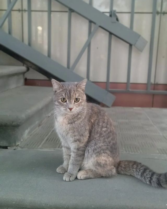 username.accepted в LOOKY. . null