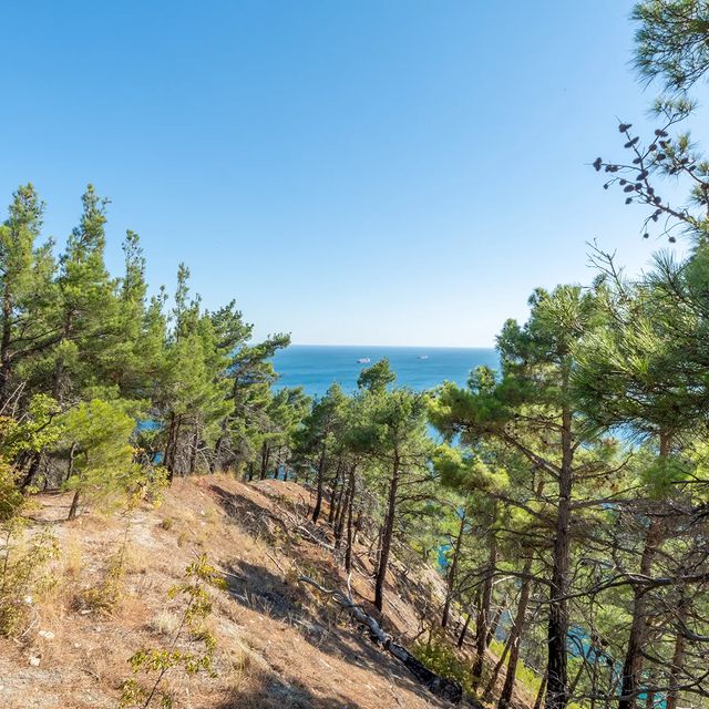 gleb_se в LOOKY. . null